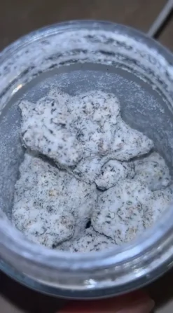 Snow Caps Weed
