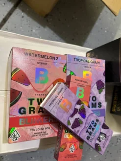 Blinkers 2G Disposable