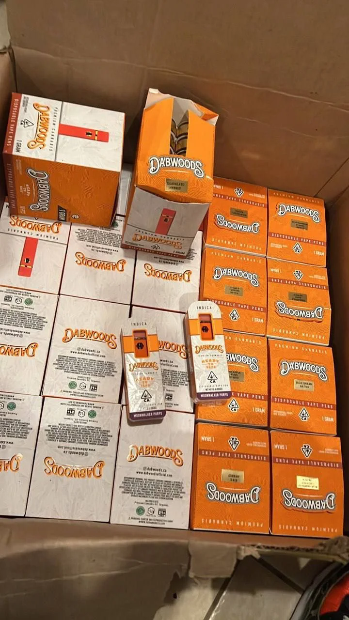 Dabwoods Disposable 1G - Image 4