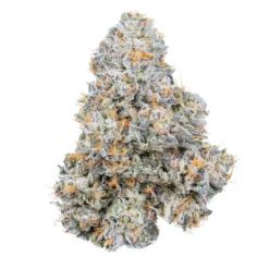 Permanent Marker Strain