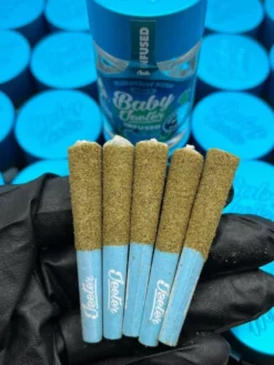 Baby Jeeter Infused Pre Rolls – Jars